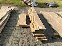 Iepen hout (8x) - afbeelding 3 van  5