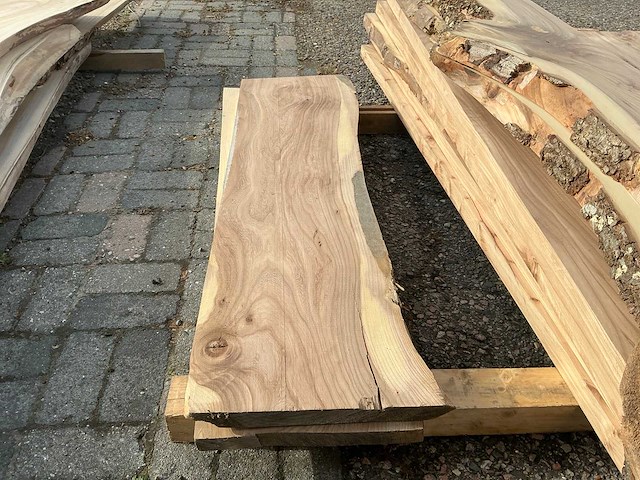 Iepen hout (8x) - afbeelding 5 van  5