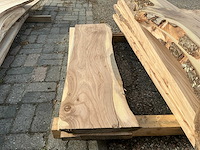 Iepen hout (8x) - afbeelding 5 van  5