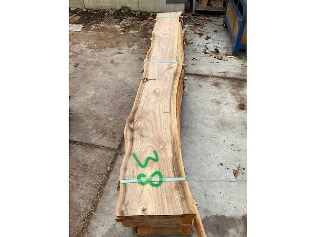 Iepen stam 40 mm ca. 0,245 m³ - afbeelding 4 van  4
