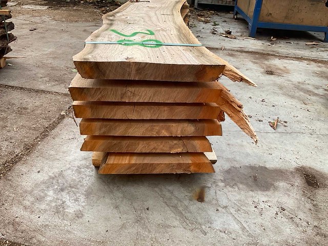 Iepen stam 40 mm ca. 0,245 m³ - afbeelding 4 van  5