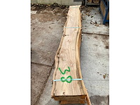 Iepen stam 40 mm ca. 0,245 m³ - afbeelding 5 van  5