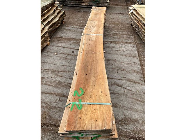 Iepen stam 45 mm ca. 0,380 m³ - afbeelding 5 van  5