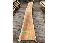 Iepen stam 45 mm ca. 0,380 m³ - afbeelding 5 van  5