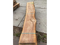 Iepen stam 52 mm ca. 0,401 m³ - afbeelding 5 van  5