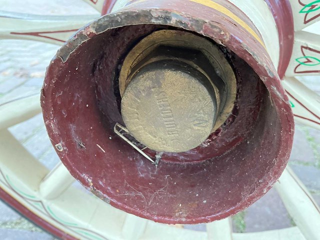 Ierse gipsy cart - afbeelding 3 van  22