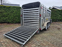 Ifor williams - ta - 3 asser - 2018 - veeaanhangwagen - veetrailer - afbeelding 2 van  14