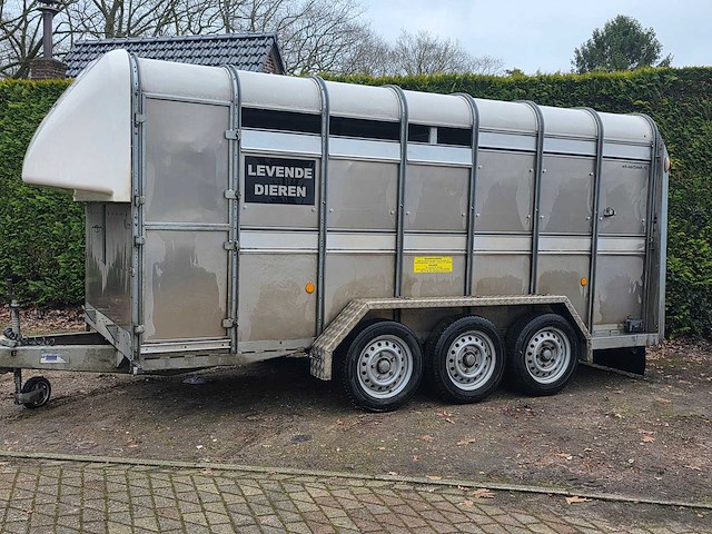 Ifor williams - ta - 3 asser - 2018 - veeaanhangwagen - veetrailer - afbeelding 8 van  14