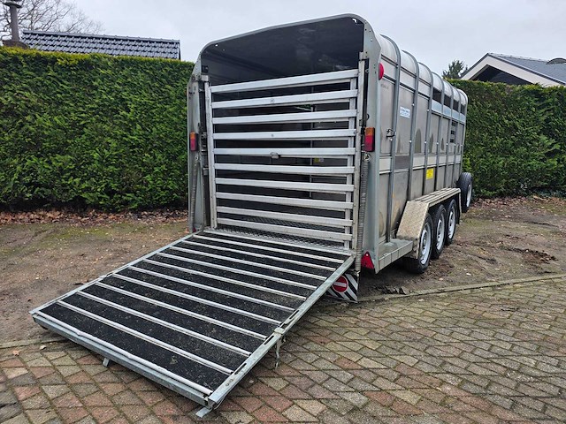 Ifor williams - ta - 3 asser - 2018 - veeaanhangwagen - veetrailer - afbeelding 2 van  14