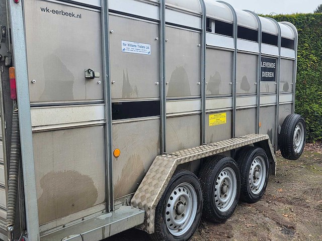 Ifor williams - ta - 3 asser - 2018 - veeaanhangwagen - veetrailer - afbeelding 14 van  14