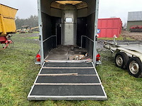 Ifor williams trailers hb505r paardentrailer - afbeelding 5 van  9
