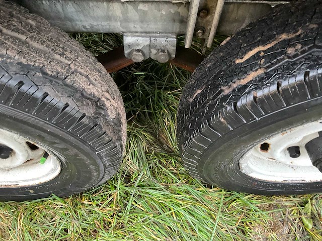 Ifor williams trailers hb505r paardentrailer - afbeelding 9 van  9