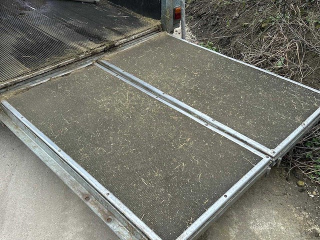 Ifor williams trailers hb505r paardentrailer - afbeelding 3 van  11