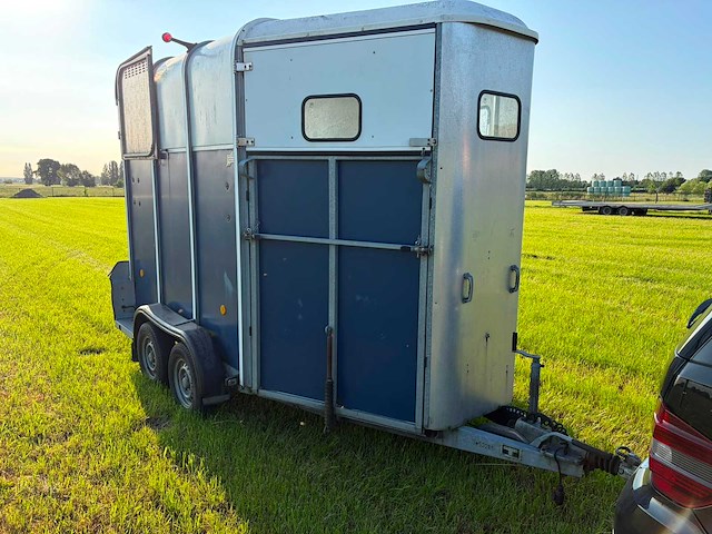 Ifor williams trailers hb510r paarden trailer paardentrailer - afbeelding 7 van  10