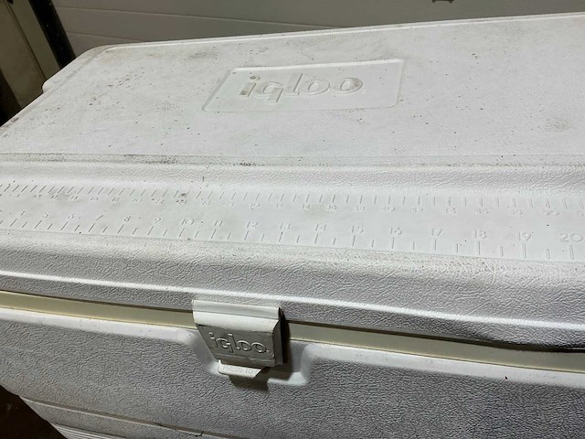 Igloo marine 72 koelbox (2x) - afbeelding 6 van  7