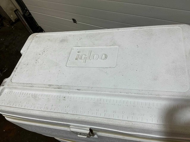 Igloo marine 72 koelbox (2x) - afbeelding 7 van  7