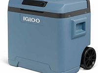 Igloo thermoelectric cooler 42l - portable electric cool box - 230v/12v - 9620013371 - afbeelding 1 van  7