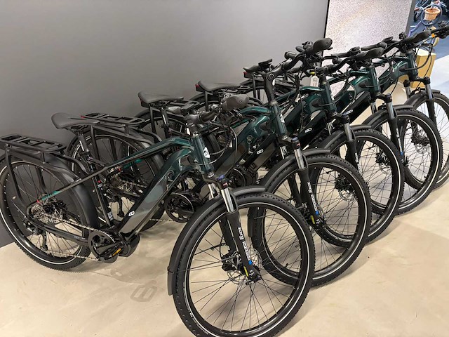 Igo outland cabot rs elektrische herenfiets - 55cm (5x) - afbeelding 3 van  22