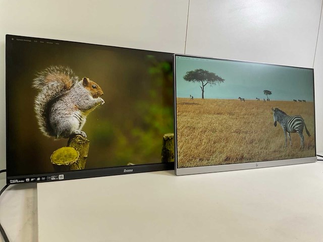 Iiyama/hp mix model monitors - check description (2x) - afbeelding 2 van  8