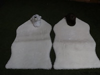 Ijsbeer vloerkleden - 85x55cm - set van 2 stuks - afbeelding 1 van  7