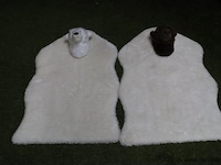 Ijsbeer vloerkleden - 85x55cm - set van 2 stuks - afbeelding 1 van  4