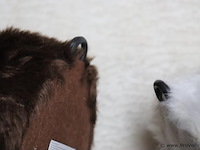 Ijsbeer vloerkleden - 85x55cm - set van 2 stuks - afbeelding 4 van  4