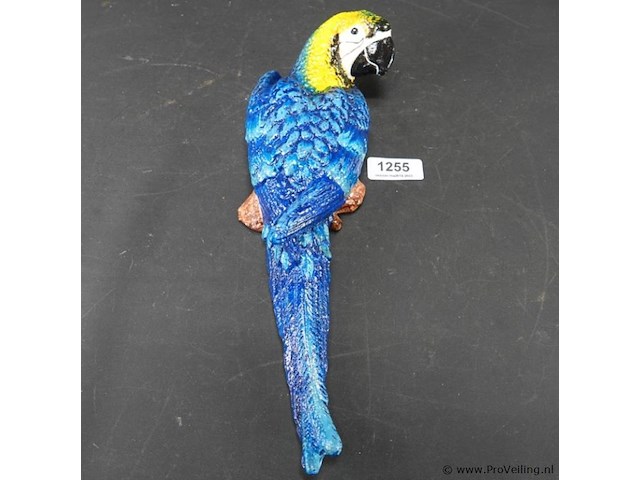 Ijzeren ara - afbeelding 1 van  5