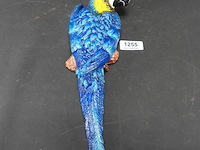 Ijzeren ara - afbeelding 1 van  5