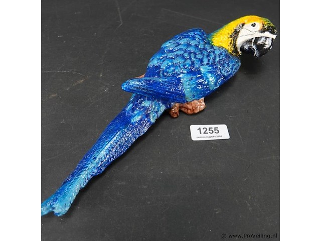 Ijzeren ara - afbeelding 2 van  5