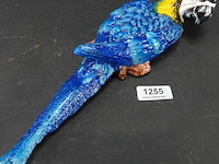 Ijzeren ara - afbeelding 2 van  5