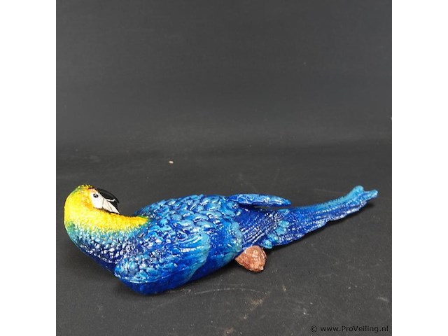 Ijzeren ara - afbeelding 3 van  5