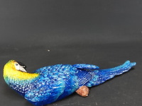 Ijzeren ara - afbeelding 3 van  5