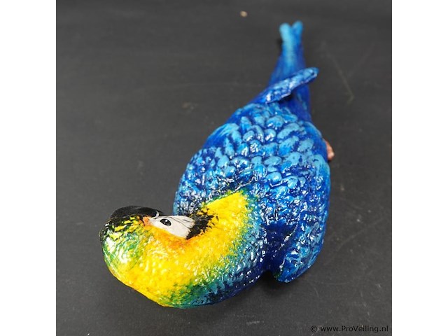 Ijzeren ara - afbeelding 4 van  5