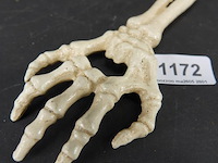 Ijzeren hand als flesopener - afbeelding 1 van  5