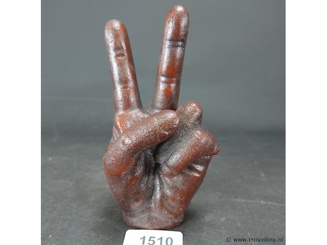 Ijzeren hand - afbeelding 1 van  5