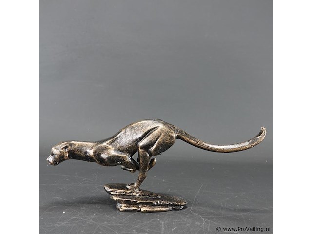 Ijzeren poema - afbeelding 2 van  5