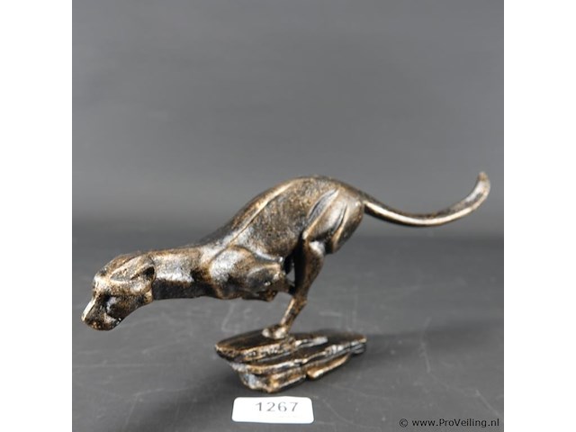 Ijzeren poema - afbeelding 1 van  5