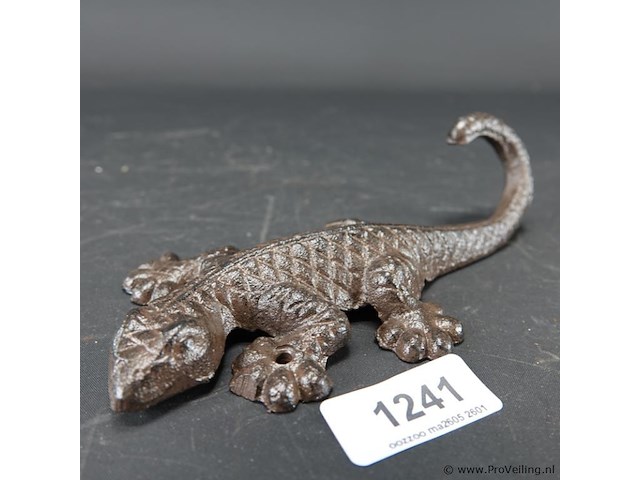 Ijzeren salamander - afbeelding 1 van  5