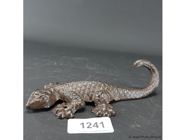Ijzeren salamander - afbeelding 2 van  5