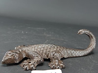 Ijzeren salamander - afbeelding 2 van  5