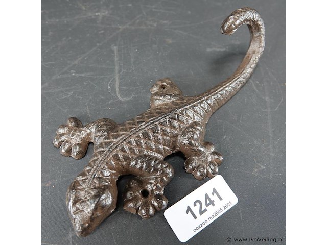 Ijzeren salamander - afbeelding 3 van  5