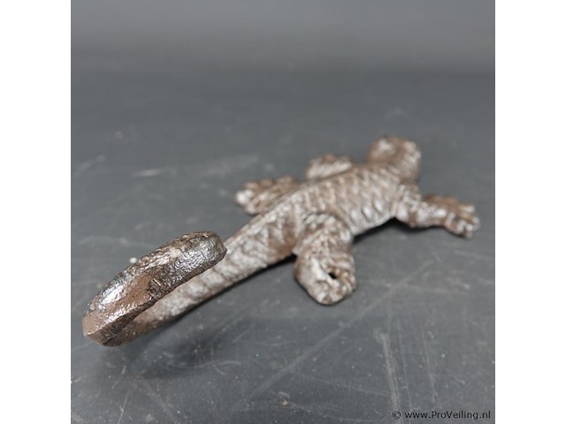 Ijzeren salamander - afbeelding 4 van  5
