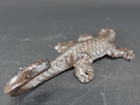 Ijzeren salamander - afbeelding 4 van  5