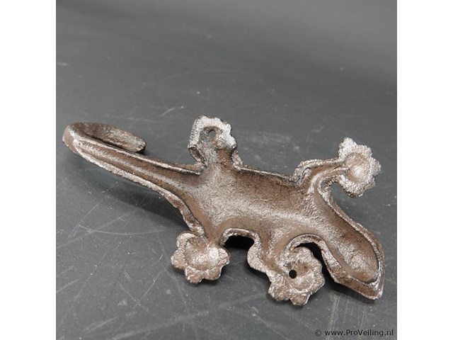 Ijzeren salamander - afbeelding 5 van  5