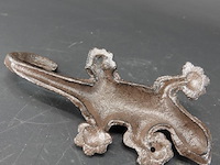 Ijzeren salamander - afbeelding 5 van  5