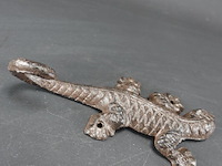 Ijzeren salamander - afbeelding 3 van  5