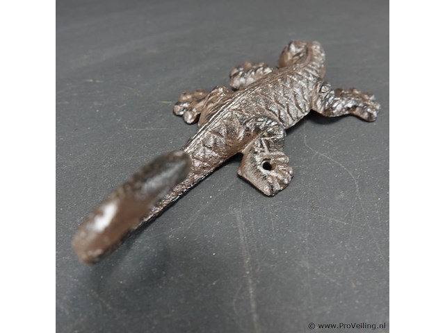 Ijzeren salamander - afbeelding 4 van  5