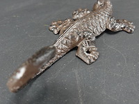 Ijzeren salamander - afbeelding 4 van  5