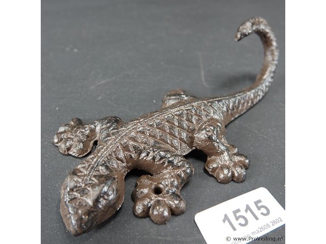 Ijzeren salamander - afbeelding 1 van  5