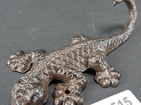 Ijzeren salamander - afbeelding 1 van  5